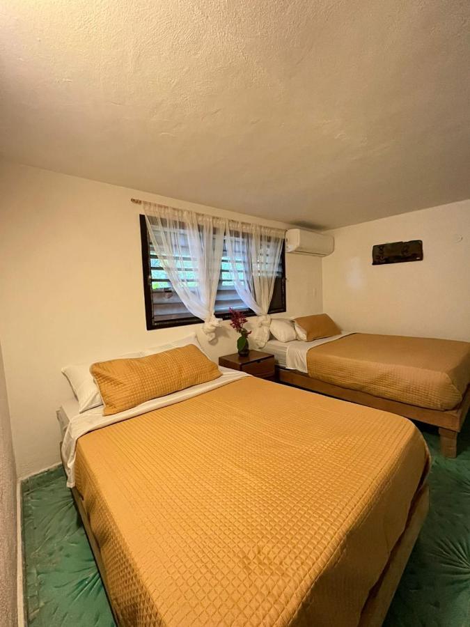 Casa Alux Apartment
